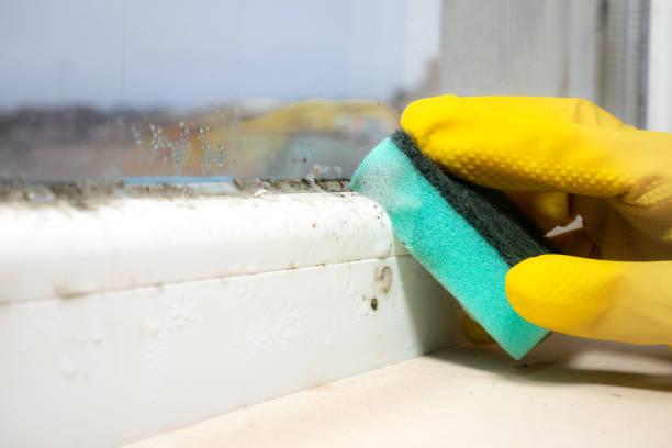 Best Mold Testing  in Griffin, GA