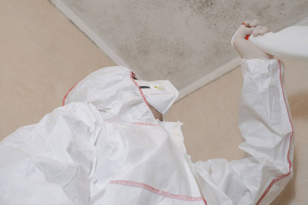 Best Mold Testing  in Griffin, GA