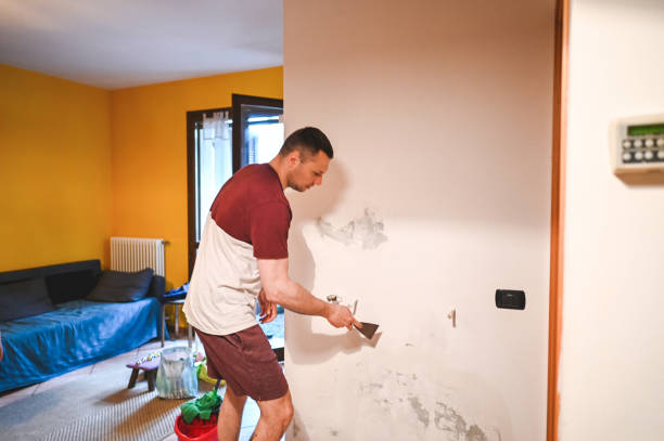 Best Commercial Mold Removal  in Griffin, GA