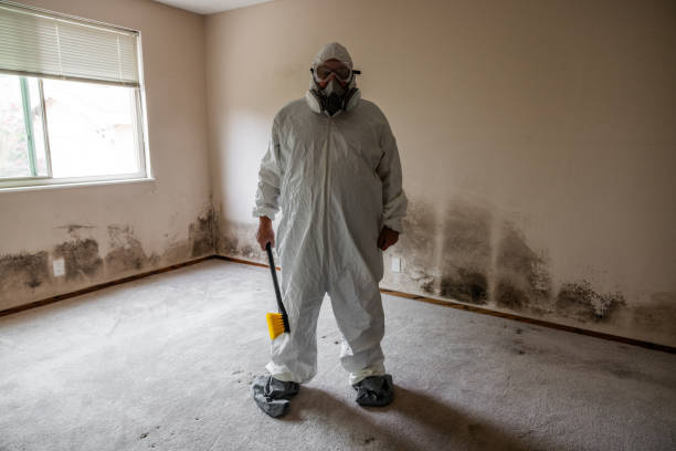 Best Office Mold Removal Services  in Griffin, GA