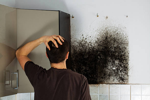 Best Black Mold Removal  in Griffin, GA